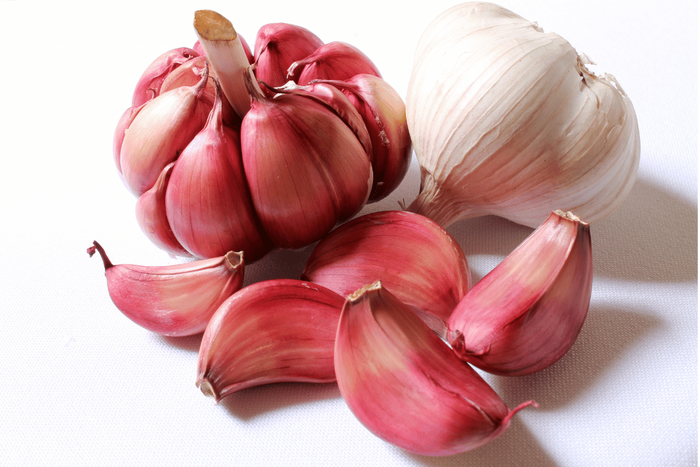 The Great Aussie Garlic Adventure – A Food Taster’s Tale